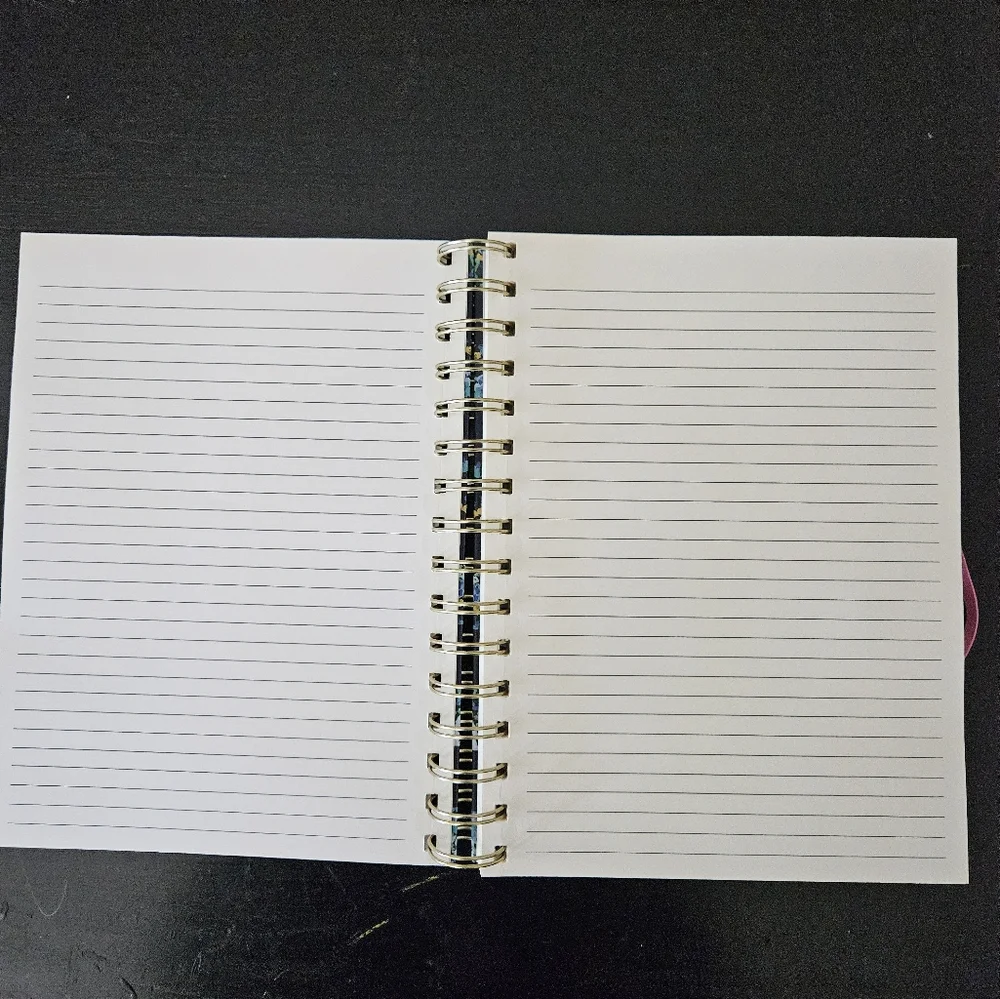 Anthropologie Lizzy Spiral journal